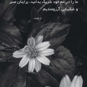 استند تسلیت شماره دو