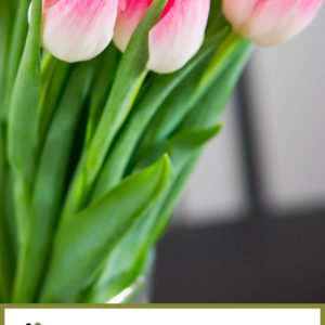 استند ازدواج - طرح یک